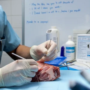Close-up of gloved hands practicing suturing technique on a piece of raw meat during a basic suturing and wound management course, with medical supplies and instructional materials in the background.